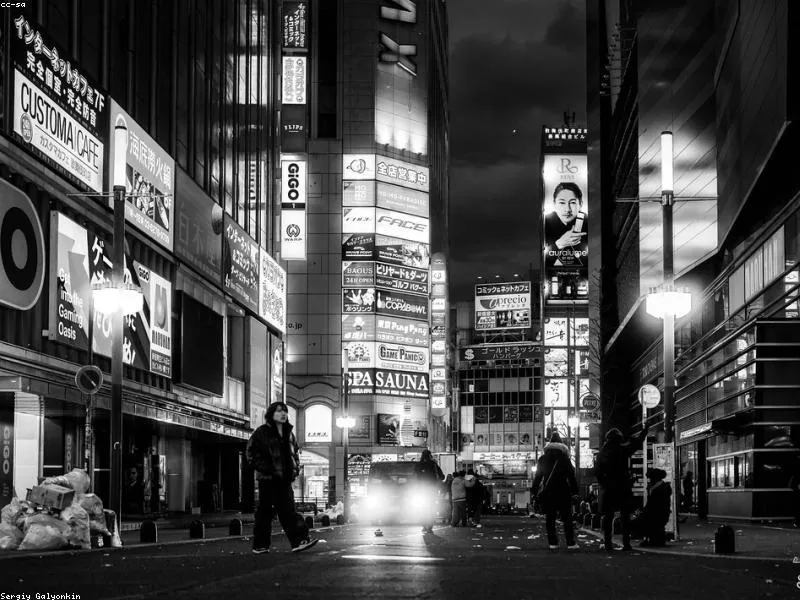 10 Restoran Halal Terbaik di Tokyo (2026) - Image 4