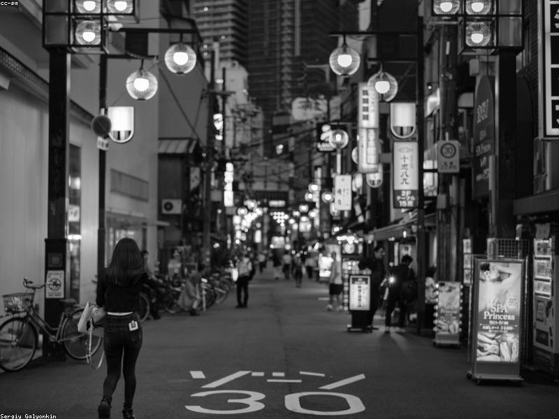 Itinerary Kansai 5 Hari 4 Malam: Panduan Lengkap Wisata Halal + Tips Hemat 2026 - Image 9