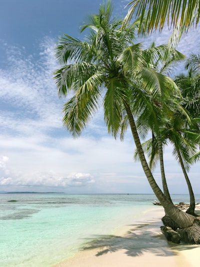 Wisata Pantai Berkelanjutan di Okinawa