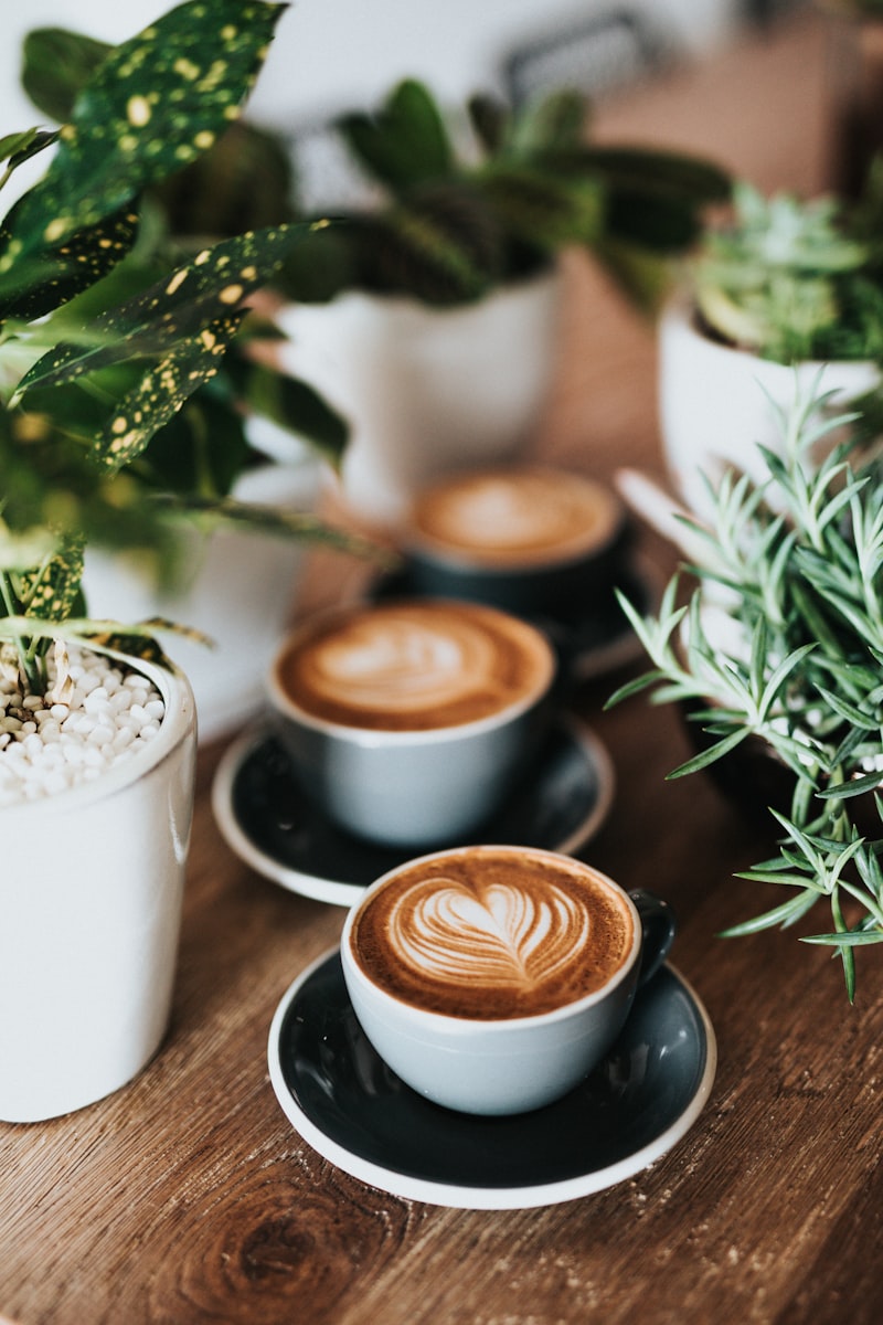 About Life Coffee Brewers