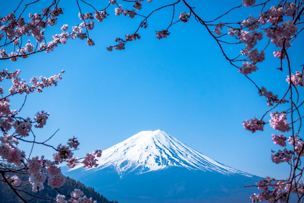 Pemandangan senja Gunung Fuji dari Danau Kawaguchiko — momen magis yang sayang dilewatkan