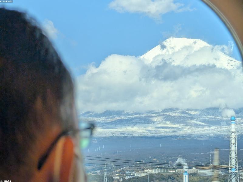 Panduan Lengkap JR Pass untuk Turis Muslim di Jepang 2026 - Gambar 4