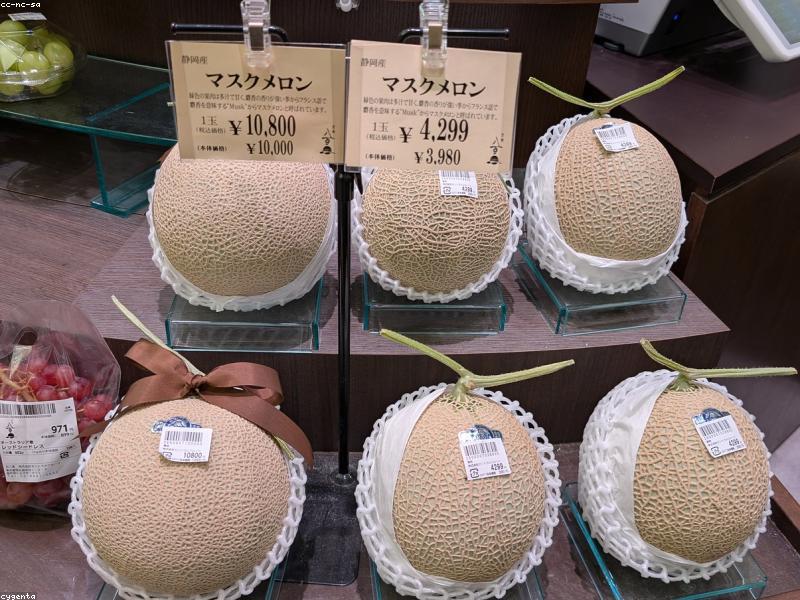 Panduan Tax-Free Shopping di Jepang