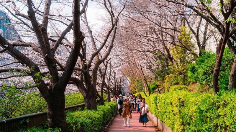 Panduan Lengkap TOKYO SKYTREE: Tiket, Wahana & Tips Muslim 2026 - Image 7