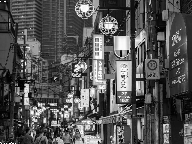Pengalaman Menonton Sumo Langsung di Osaka: Tiket & Panduan 2026 - Image 2