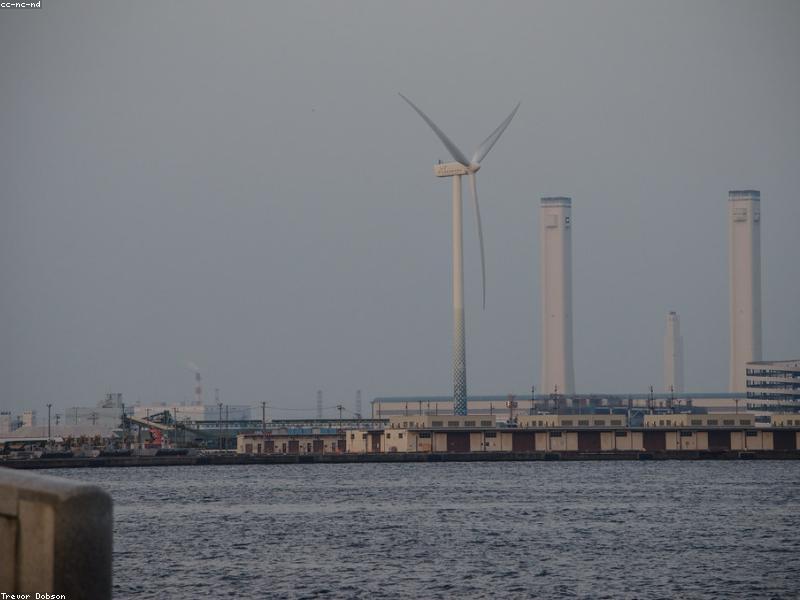Yokohama Sea Paradise: Aquarium & Hiburan Keluarga Terbaik di Jepang 2026 - Image 11