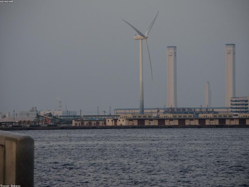 Yokohama Sea Paradise: Aquarium & Hiburan Keluarga Terbaik di Jepang 2026 - Image 1