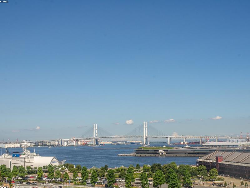 Yokohama Sea Paradise: Aquarium & Hiburan Keluarga Terbaik di Jepang 2026 - Image 5