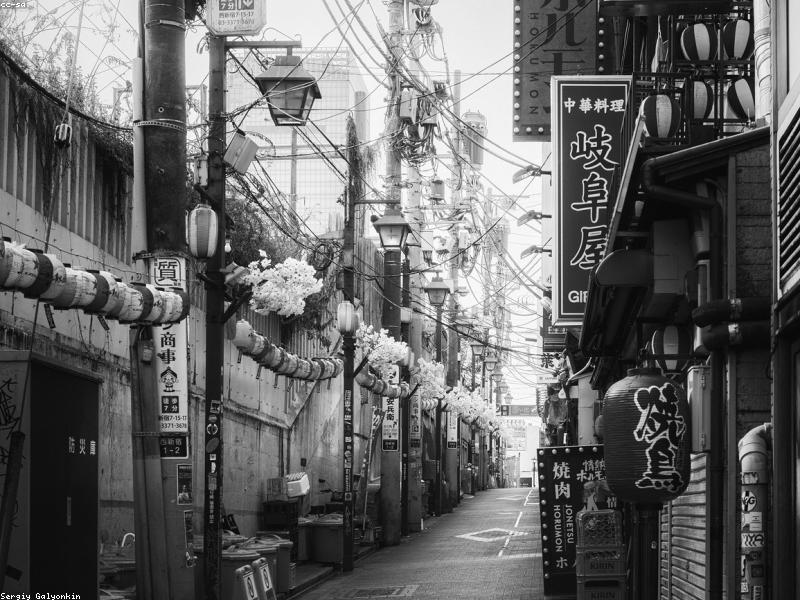 Review Shinjuku Washington Hotel: Lokasi Strategis di Pusat Tokyo untuk Muslim 2026 - Image 12