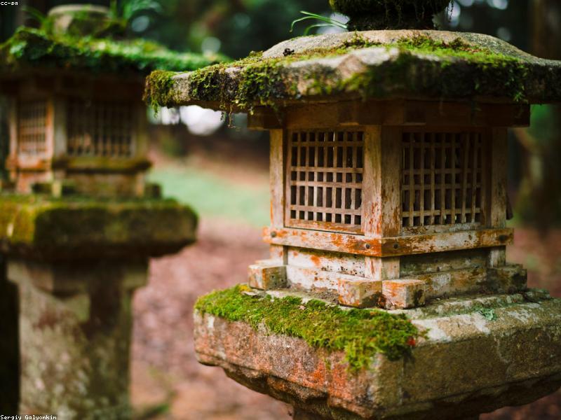 City Cruise Osaka: Menikmati Pemandangan Kota dari Sungai — Panduan Wisata 2026 - Image 10