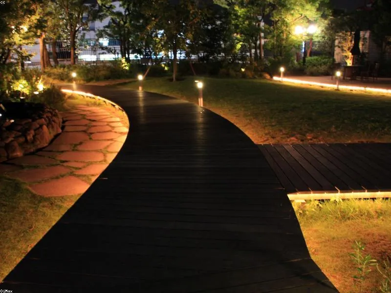 Panduan Wisata Daun Berubah Warna (Momiji)