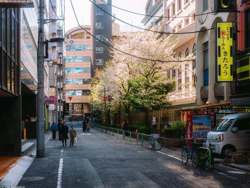 Belanja Bahan Makanan Halal di Supermarket Jepang