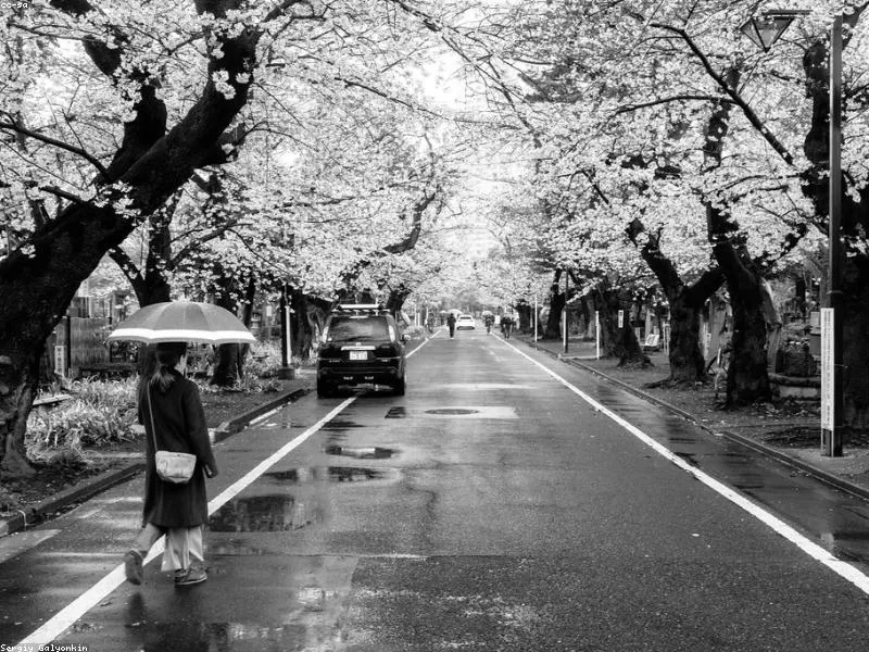 Panduan Menukar Uang di Jepang