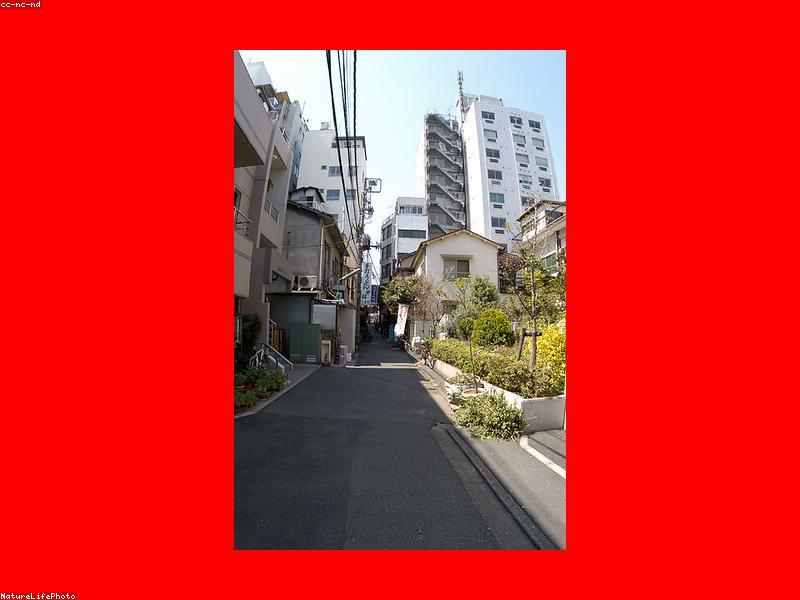 Resepsionis hotel di Tokyo dengan pelayanan ramah