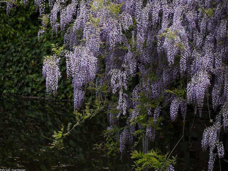 Air Terjun Tersembunyi di Jepang 2026: Hidden Gems Alam untuk Muslim