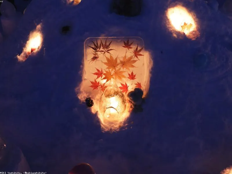 Panduan Bento Halal di Jepang