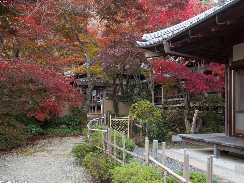 Ekowisata di Kyoto, Nara, dan Sekitarnya - Image 12