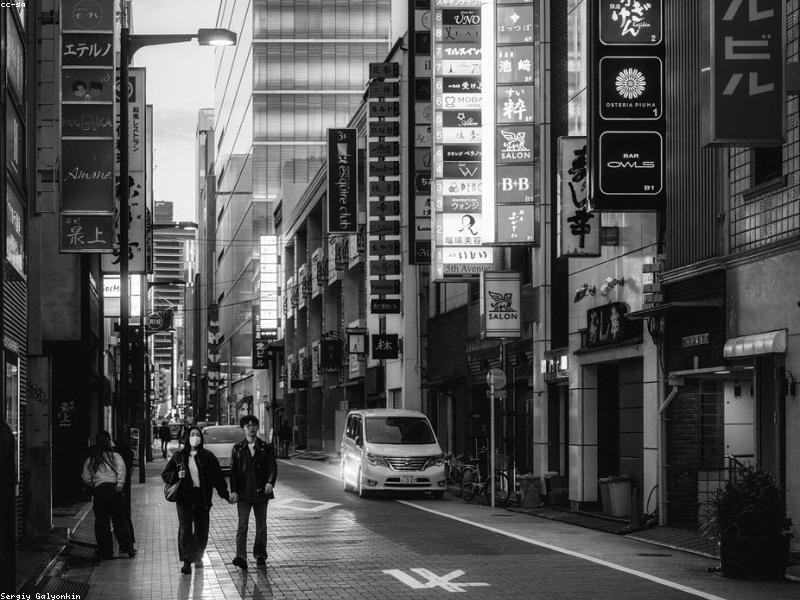 5 Akomodasi Ramah Lingkungan di Jepang 2026: Eco-Stay untuk Muslim