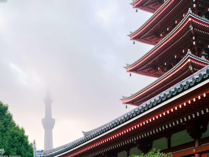 Panduan Pokémon Center Jepang 2026: Lokasi, Merchandise & Tips untuk Keluarga Muslim