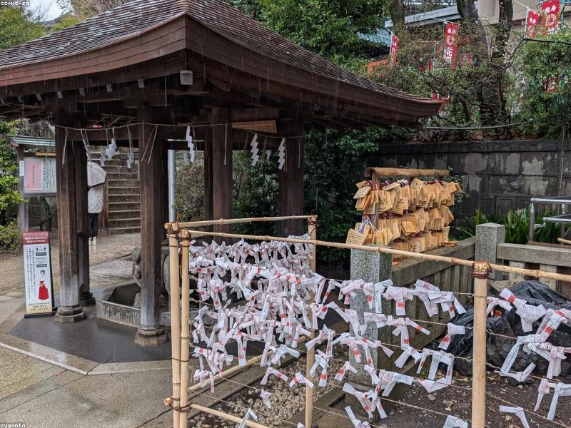 10 Hotel Murah Kyoto Dekat Stasiun 2026: Under ¥10.000 — Tanpa Reservasi Sulit, Langsung Check-in!