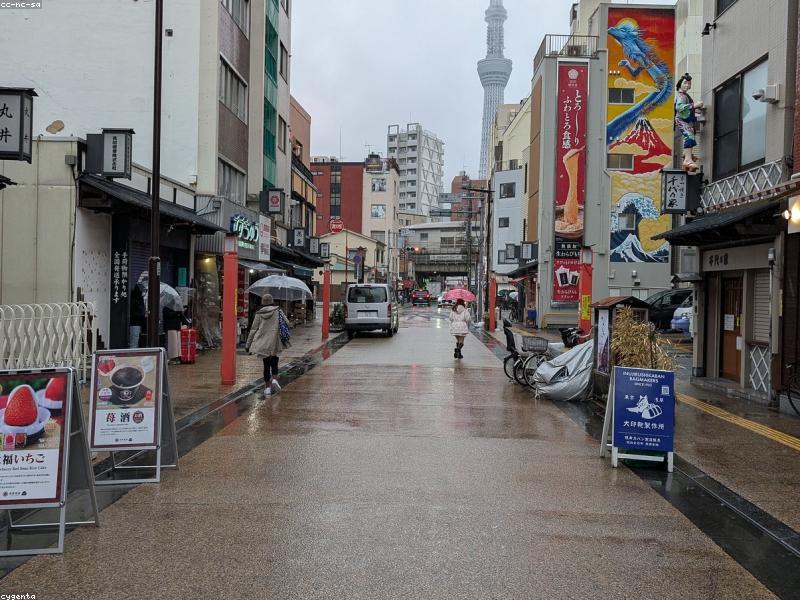 Itinerary 5 Hari Osaka-Kyoto 2026: Keluarga Muslim — Kuil, Makan Halal & Kereta Sepi!