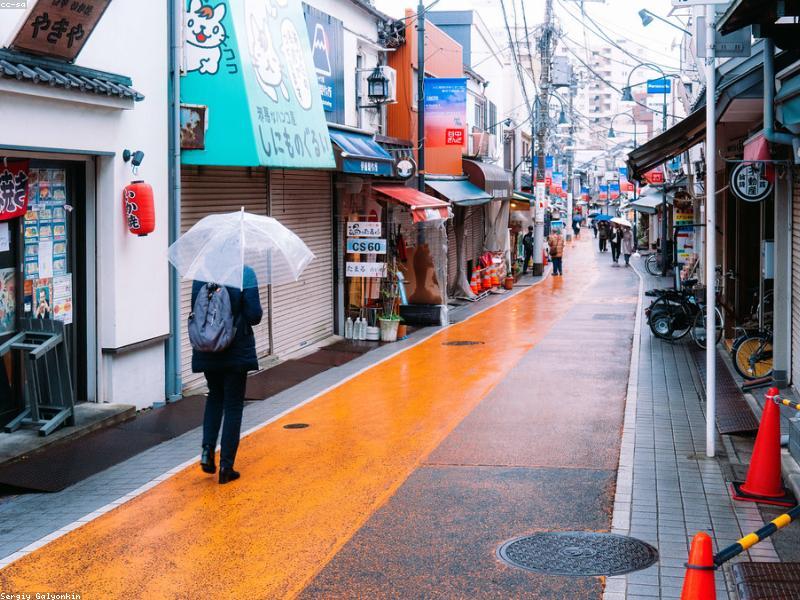 Wisata Jepang Musim Gugur 2026: Spot Momiji, Festival & Aktivitas Wajib - Image 11