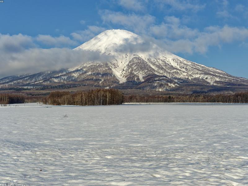Wisata Musim Dingin Hokkaido 2026: Blue Pond, Iluminasi & Panduan Halal Lengkap - Image 4