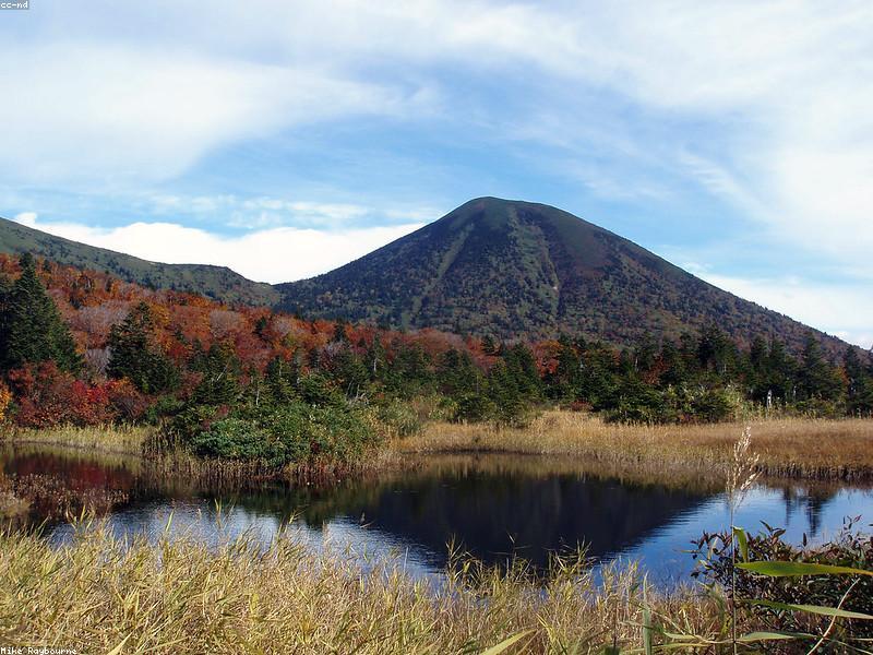 Itinerary Tokyo + Hakone + Kamakura 5 Hari 2026: Trip Kombinasi Terbaik - Gambar 4