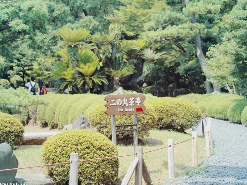 Pokémon Center Jepang 2026: Panduan Belanja & Spot Foto untuk Fans dari Indonesia - Gambar 3