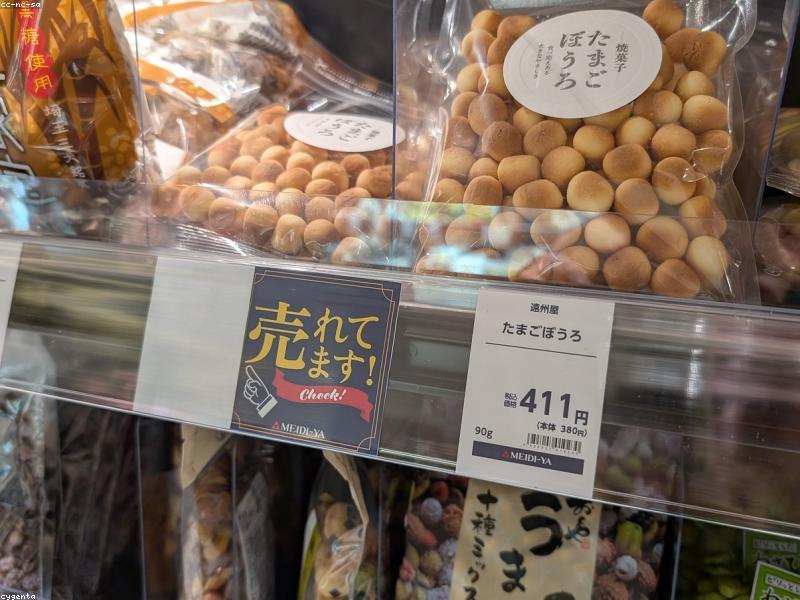 Rencana Perjalanan Honeymoon di Jepang