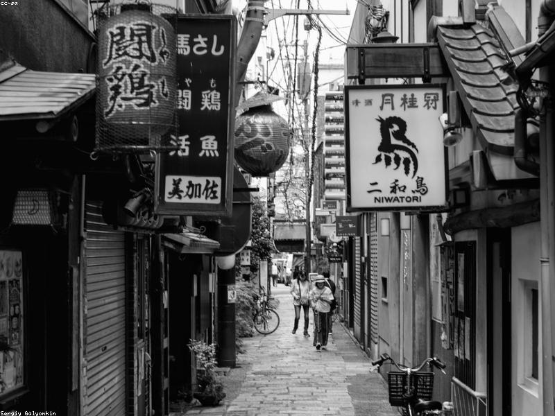 Panduan Kunjungan Istana & Kastil Jepang 2026: Himeji, Osaka & Tips Muslim - Image 12