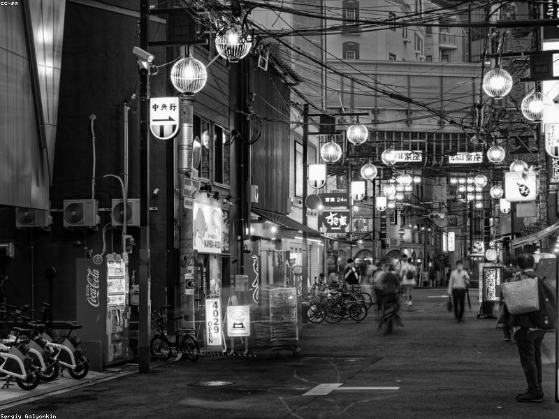 Panduan Kunjungan Istana & Kastil Jepang 2026: Himeji, Osaka & Tips Muslim - Image 2