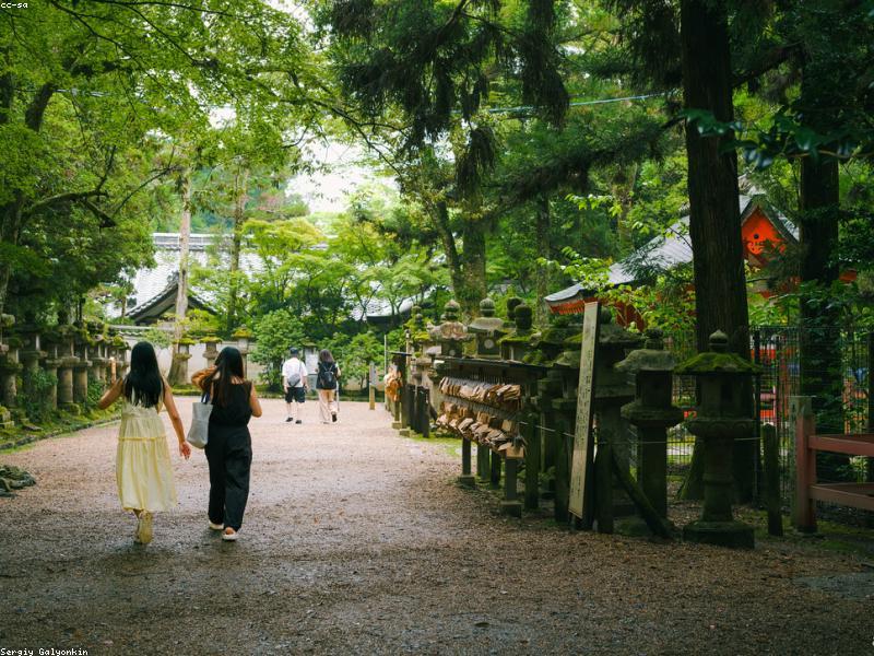 Panduan Kunjungan Istana & Kastil Jepang 2026: Himeji, Osaka & Tips Muslim - Image 3