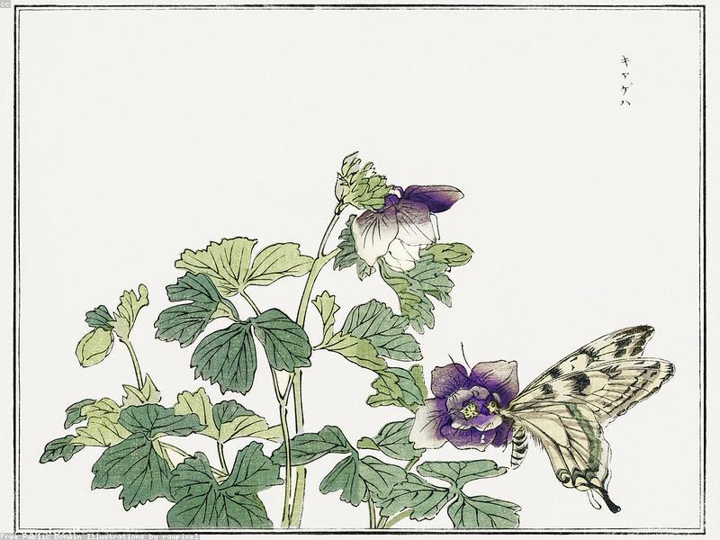 Panduan Wisata Nagano & Matsumoto 2026: Kastil Matsumoto, Kuil Zenkoji & Kamikochi - Image 12