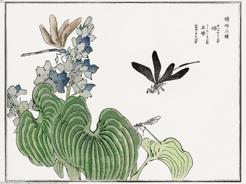 Panduan Wisata Nagano & Matsumoto 2026: Kastil Matsumoto, Kuil Zenkoji & Kamikochi - Image 2