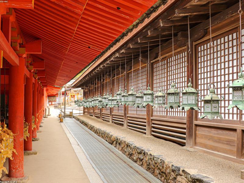 Panduan Wisata Nagano & Matsumoto 2026: Kastil Matsumoto, Kuil Zenkoji & Kamikochi - Image 3