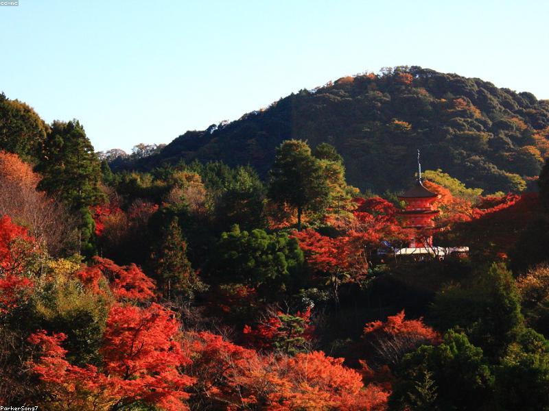 Panduan Wisata Nagano & Matsumoto 2026: Kastil Matsumoto, Kuil Zenkoji & Kamikochi - Image 6