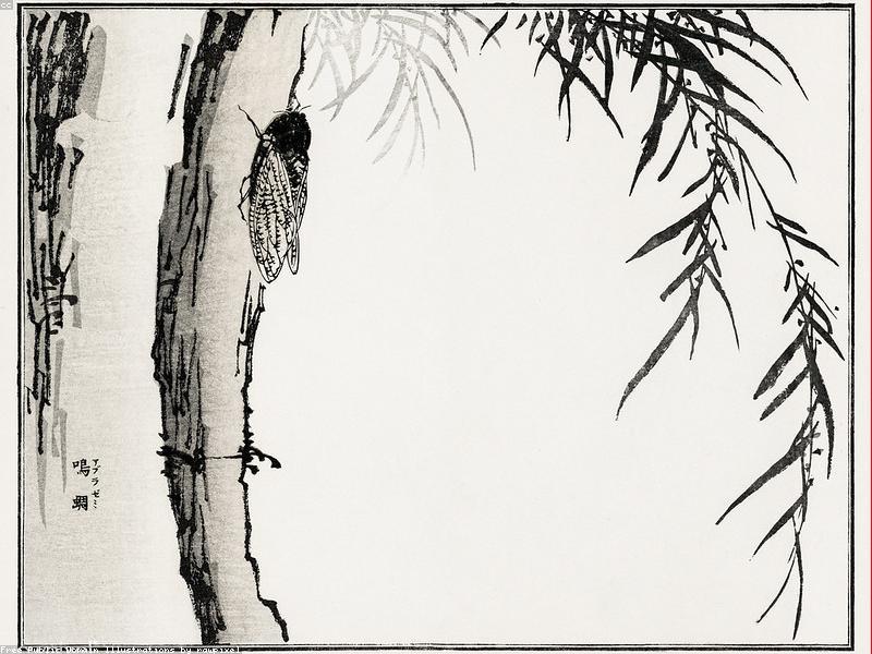 Panduan Wisata Nagano & Matsumoto 2026: Kastil Matsumoto, Kuil Zenkoji & Kamikochi - Image 7