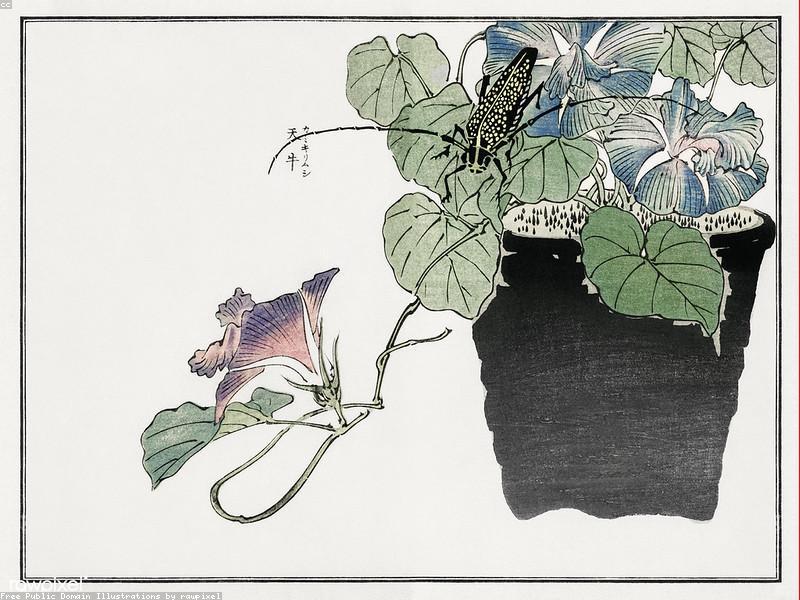 Panduan Wisata Nagano & Matsumoto 2026: Kastil Matsumoto, Kuil Zenkoji & Kamikochi - Image 9