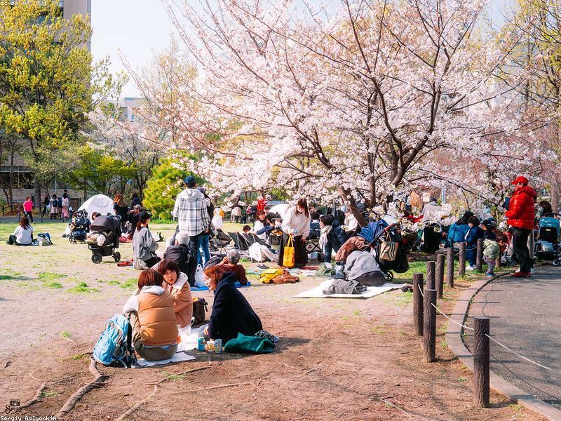 Guesthouse Murah di Tokyo untuk Backpacker