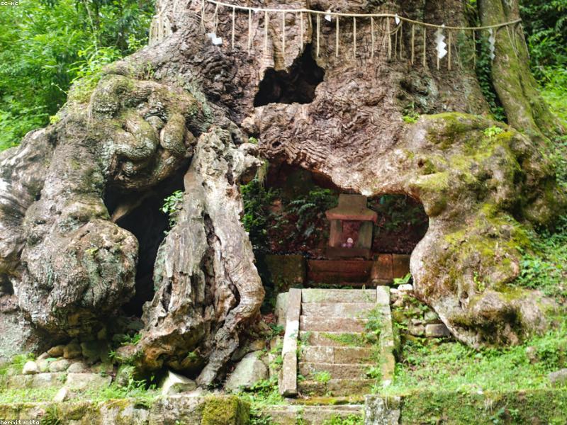 Budaya Onsen Jepang: Panduan Wisatawan Muslim - Image 5