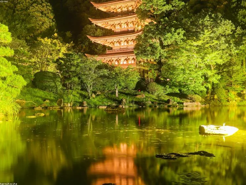 Food Truck Halal di Tokyo