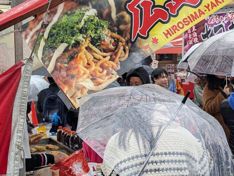 Estimasi Biaya Wisata Halal Jepang 7 Hari